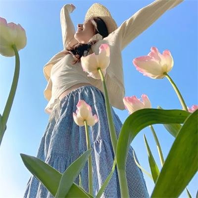 安塔与阿布拉历险记